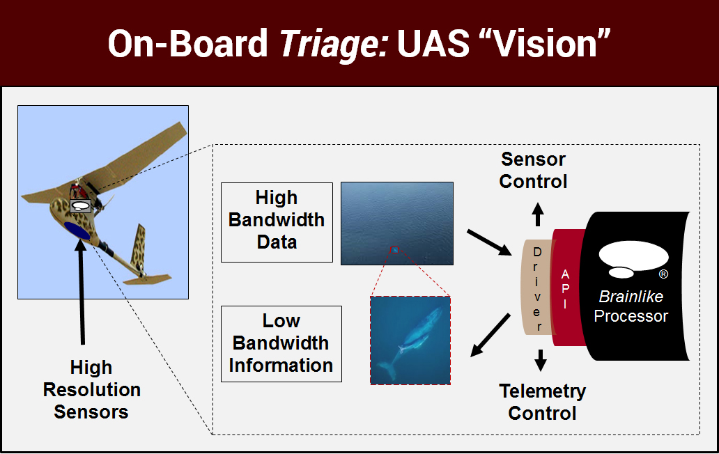 On-Board Triage: UAS "Vision"